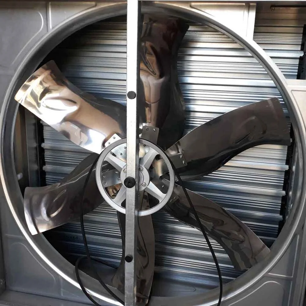 Extractor de aire 50" (motor Taiwan)