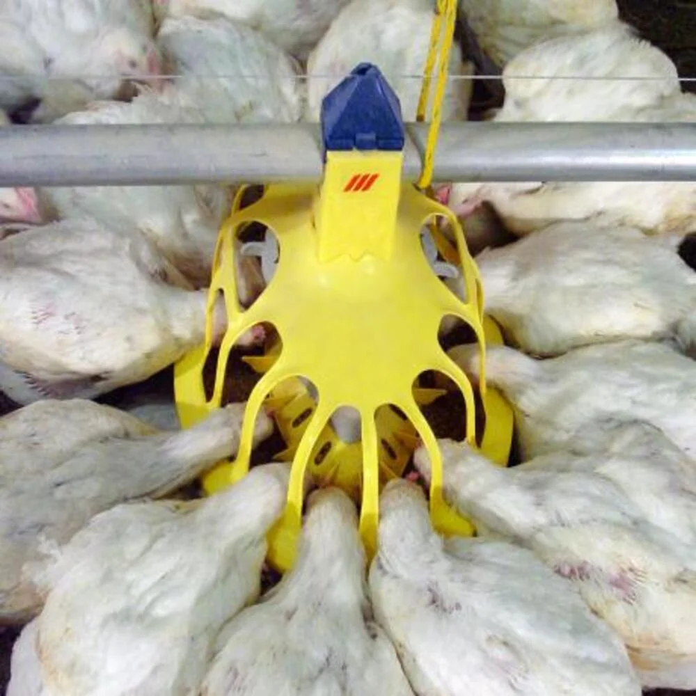 Sistema Automático alimentación Haikoo Engorde - Imagen 2