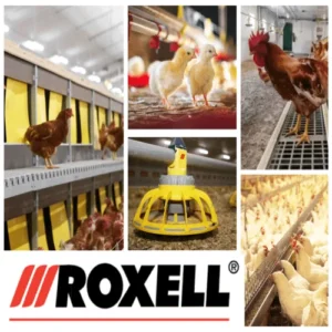 aves-Roxell-Collage